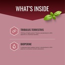approved-science-tribulus-terrestris-360-2.jpg