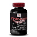 vitality-support-tribulus-terrestris-ext-2.jpg