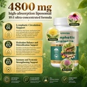 lymphatic-drainage-capsules-immune-lymph-4.jpg