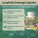 lymphatic-drainage-supplement-natural-he-3.jpg