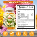well-whole-lymphatic-drainage-gummies-ly-2.jpg