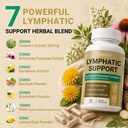 lymphatic-support-capsules-lymph-drainag-3.jpg