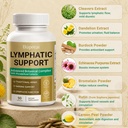 lymphatic-support-capsules-lymph-drainag-5.jpg