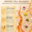 herbal-lymph-support-capsules-with-dande-5.jpg