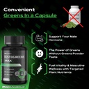 live-anabolic-testogreens-max-men-s-dail-5.jpg