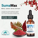 purely-wild-sumamax-wild-sumac-berry-cra-2.jpg