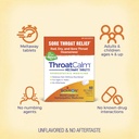 boiron-throatcalm-tablets-for-relief-of--3.jpg