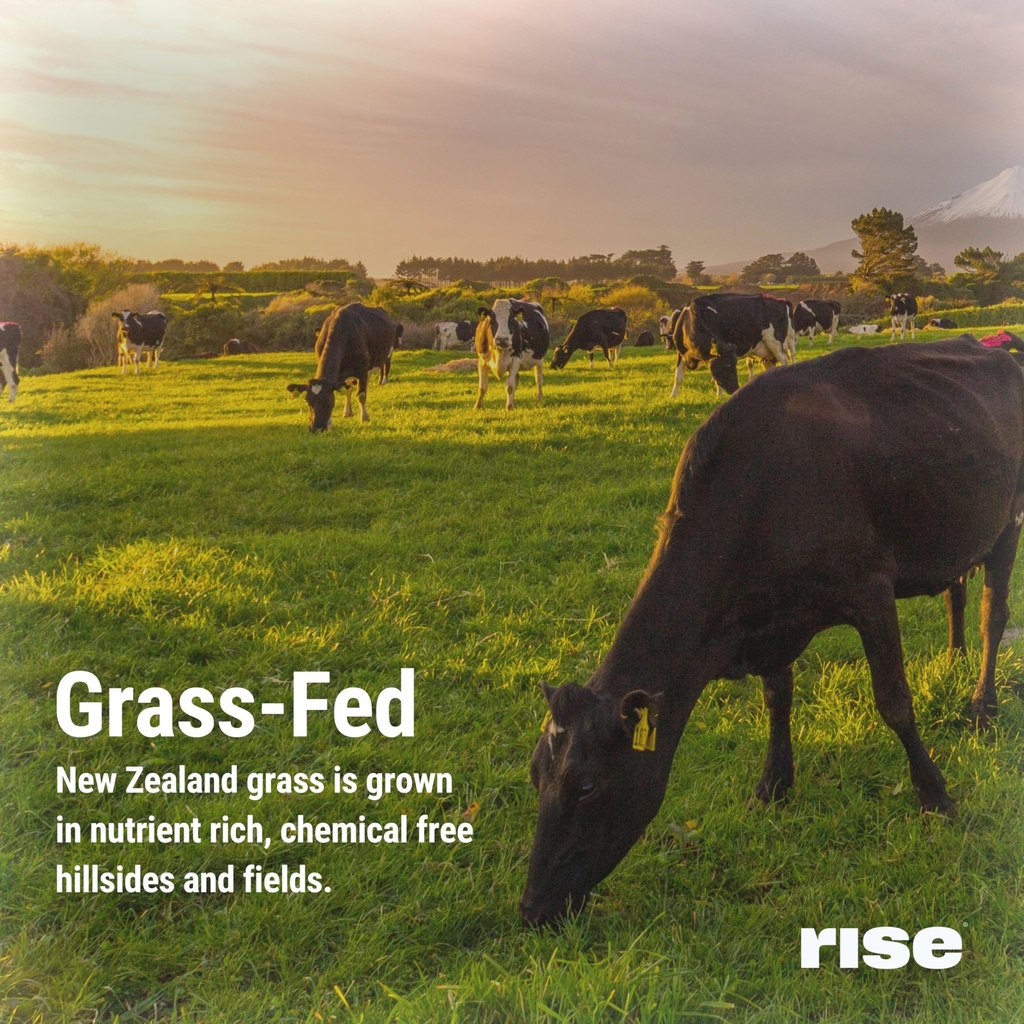 rise-grass-fed-whey-protein-powder-mint--6.jpg