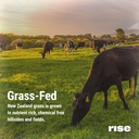 rise-grass-fed-whey-protein-powder-mint--6.jpg
