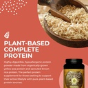 warrior-food-natural-protein-powder-1000-4.jpg