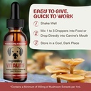 mycodog-vitality-20-in-1-turkey-tail-mus-6.jpg