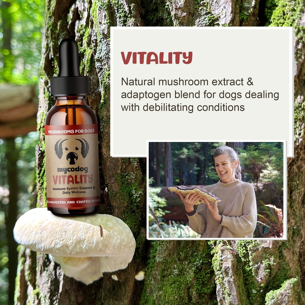 mycodog-vitality-20-in-1-turkey-tail-mus-2.jpg