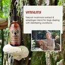 mycodog-vitality-20-in-1-turkey-tail-mus-2.jpg