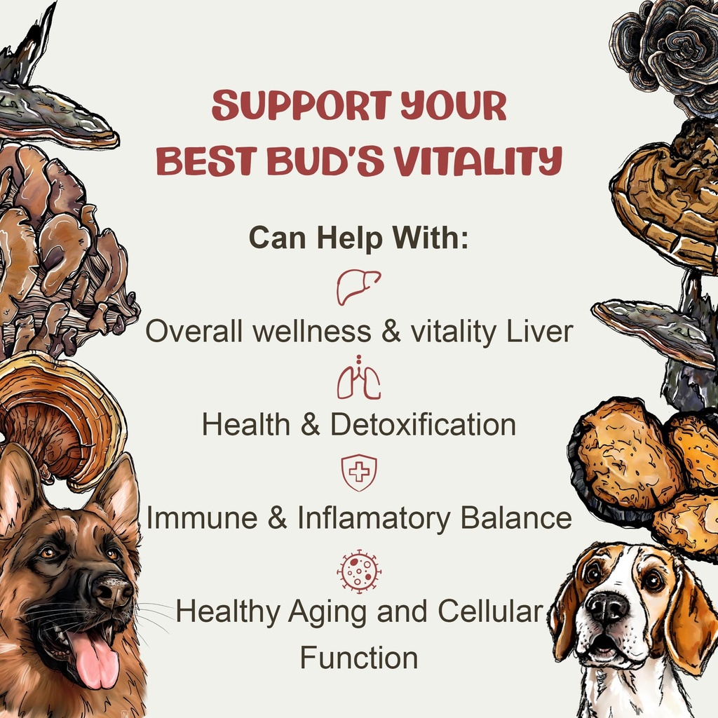 mycodog-vitality-20-in-1-turkey-tail-mus-5.jpg