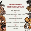 mycodog-vitality-20-in-1-turkey-tail-mus-5.jpg