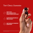 humann-tart-cherry-gummies-uric-acid-imm-3.jpg