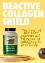 health-direct-beactive-collagen-shield-6-3.jpg
