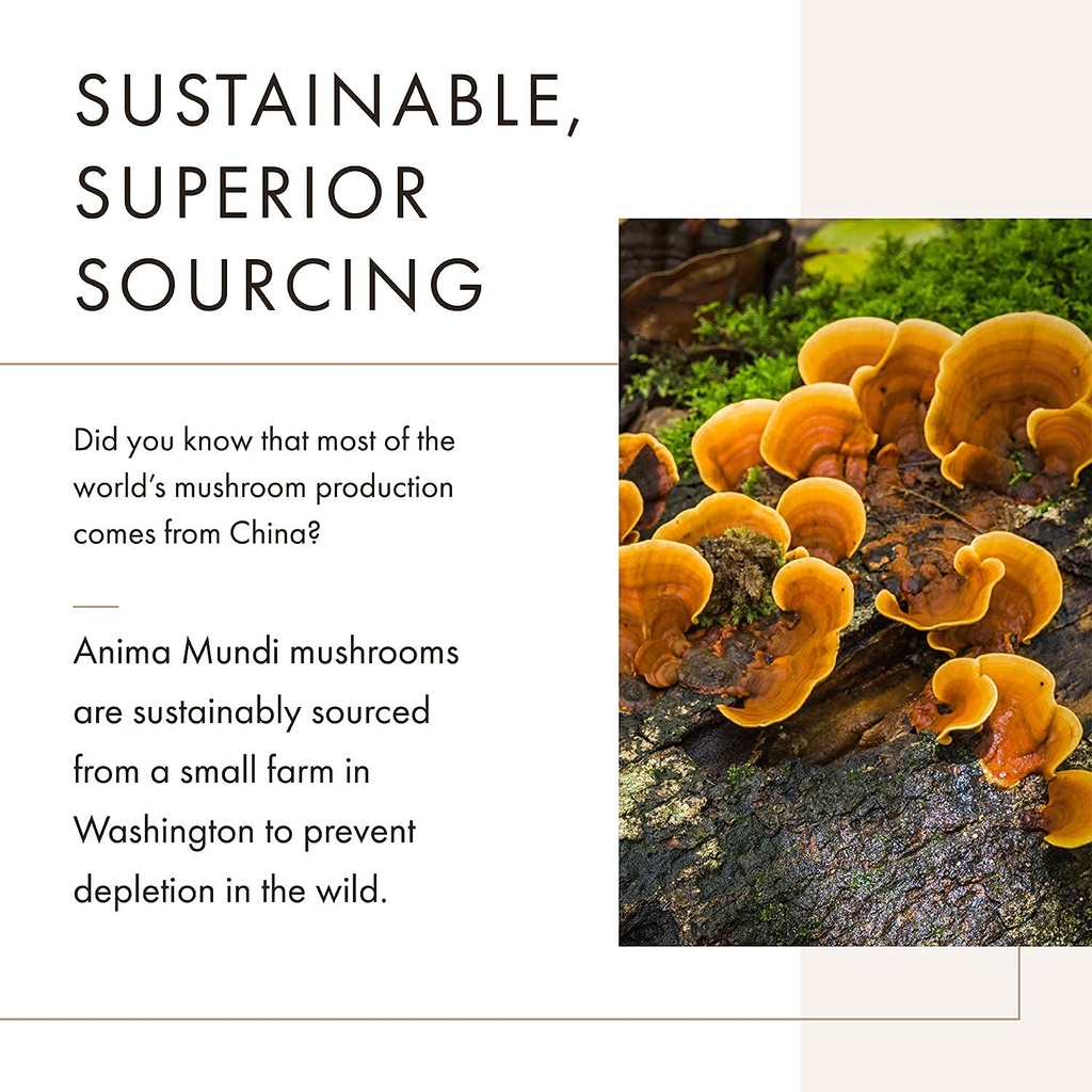 anima-mundi-apothecary-soma-7-mushroom-a-4.jpg