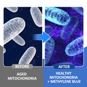 olelon-methylene-blue-gummies-60-counts-4.jpg