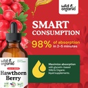 wild-organic-hawthorn-berry-tincture-600-4.jpg