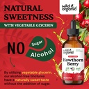 wild-organic-hawthorn-berry-tincture-600-6.jpg