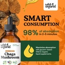 wild-organic-chaga-mushroom-supplement-i-4.jpg