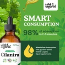 wild-organic-cilantro-tincture-herbal-de-4.jpg