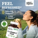 wild-organic-goldenseal-root-capsules-10-2.jpg