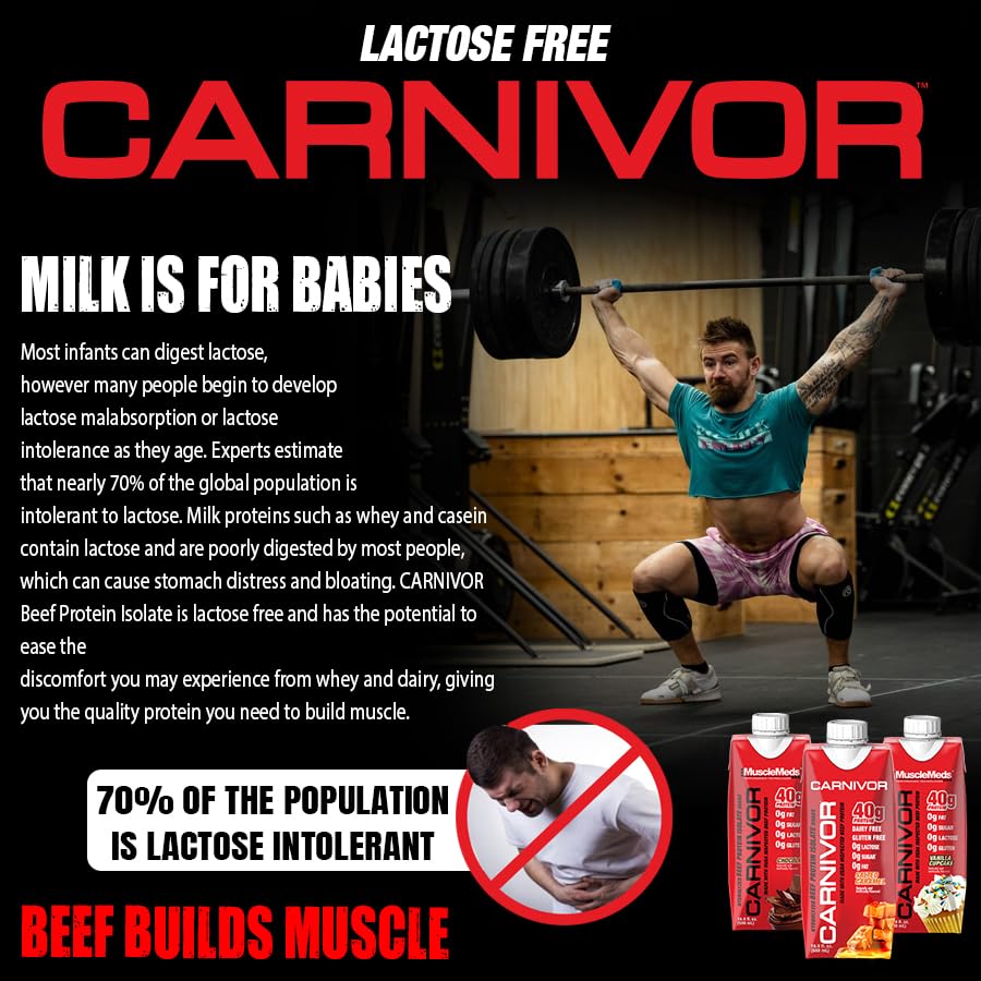 musclemeds-carnivor-rtd-ready-to-drink-p-3.jpg