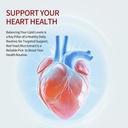 red-yeast-rice-with-coq10-supplement-sup-4.jpg