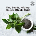 pride-of-india-whole-black-chia-seeds-om-2.jpg