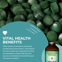 healthforce-superfoods-spirulina-manna-a-5.jpg