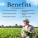 vitalitown-vitamin-b12-methyl-b12-5000-m-5.jpg