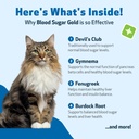 pet-wellbeing-blood-sugar-gold-cats-holi-3.jpg