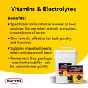 durvet-136028-vitamins-electrolytes-8-oz-2.jpg