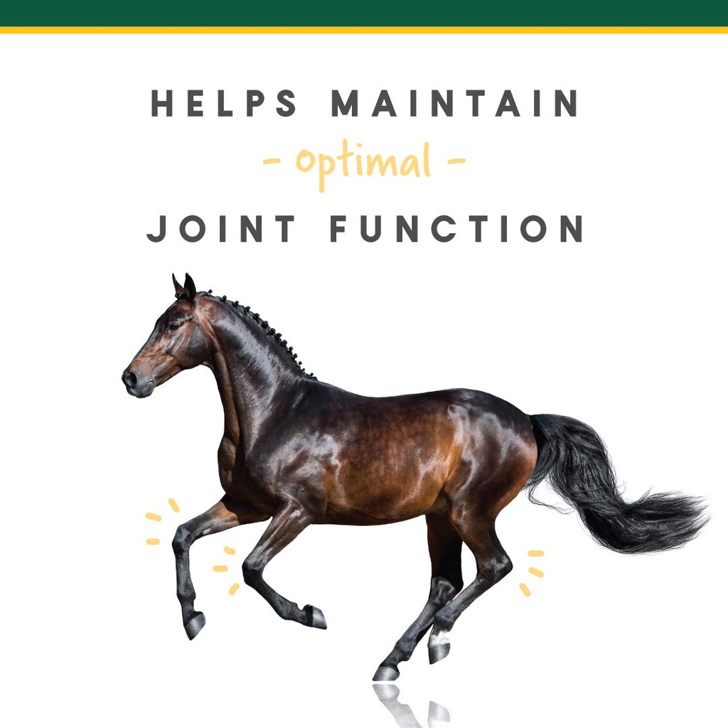 manna-pro-corta-flx-equine-joint-supplem-3.jpg