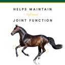 manna-pro-corta-flx-equine-joint-supplem-3.jpg