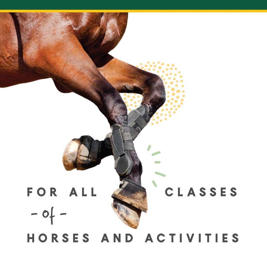 manna-pro-corta-flx-equine-joint-supplem-5.jpg