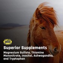 majesty-s-kalm-wafers-horse-equine-balan-6.jpg