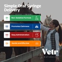 vetrchill-calming-gel-for-horses-apple-f-6.jpg