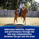 farnam-quietex-show-pellets-horse-calmin-6.jpg