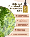 organic-ginkgo-biloba-extract-liquid-sup-4.jpg