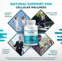 high-potency-phosphatidylserine-with-gin-5.jpg