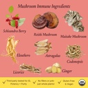 urban-moonshine-mushroom-immune-daily-im-3.jpg