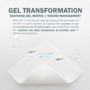 everlit-calcium-alginate-wound-dressing--3.jpg