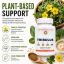 dr-clark-store-tribulus-terrestris-and-d-3.jpg