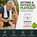 dr-clark-store-tribulus-terrestris-and-d-2.jpg