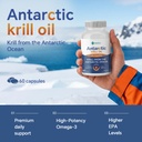 krill-oil-2026-upgraded-antarctic-krill--6.jpg