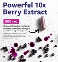 organic-elderberry-capsules-10-1-extract-3.jpg