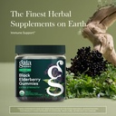 gaia-herbs-black-elderberry-sambucus-nig-2.jpg